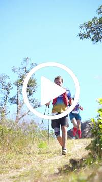 BIB:  <button type="button" onclick="openModal(26597060)" class="btn btn-primary btn-sm float-right" data-toggle="modal" data-target=".modal-high-quality">
                <i class="fa fa-download"></i> Download
                </button>